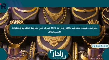 «فرصة ذهبية» معاش تكافل وكرامة 2025 تعرف على شروط التقديم وخطوات الاستحقاق